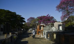 Treze cemitérios da capital terão celebrações religiosas. Foto: Rovena Rosa/Agência Brasil